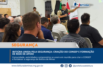 IBITIÚRA UNIDA PELA SEGURANÇA: CRIAÇÃO DO CONSEP E FORMAÇÃO DE REDE DE APOIO